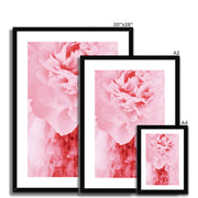 Peony G4 Framed & Mounted Print