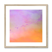 Pelicans in Flight A2 Framed & Mounted Print