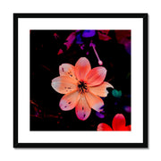 Garden Flower A1 Framed & Mounted Print