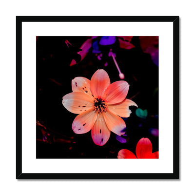 Garden Flower A1 Framed & Mounted Print