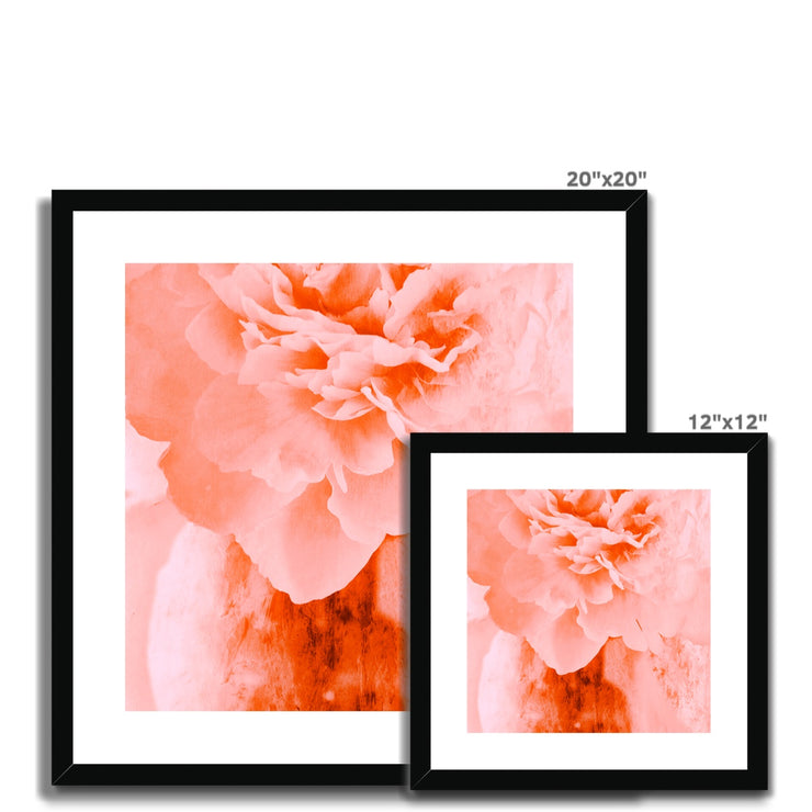 Peony G3 Framed & Mounted Print