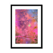 Albizia Tree A5 Framed & Mounted Print