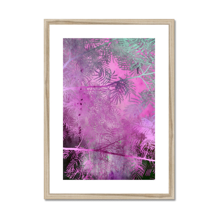 Albizia Tree A2 Framed & Mounted Print