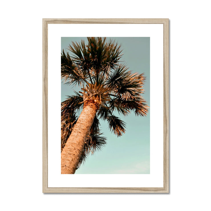 Palm Tree E1 Framed & Mounted Print