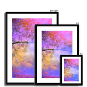 Albizia Tree B2 Framed & Mounted Print