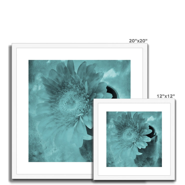 Gerbera A6 Framed & Mounted Print