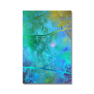 Albizia Tree A6 Canvas