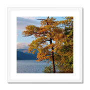 Loch Lomond B1 Framed & Mounted Print