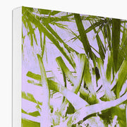 Palm Tree B2 Canvas