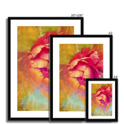 Peony E2 Framed & Mounted Print