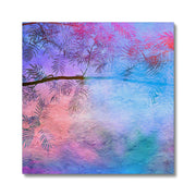 Albizia Tree B1 Canvas