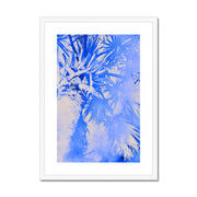 Palm Tree B4 Framed & Mounted Print