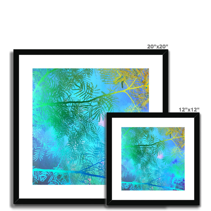 Albizia Tree A6 Framed & Mounted Print