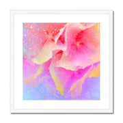 Hydrangea A3 Framed & Mounted Print