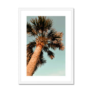 Palm Tree E1 Framed & Mounted Print