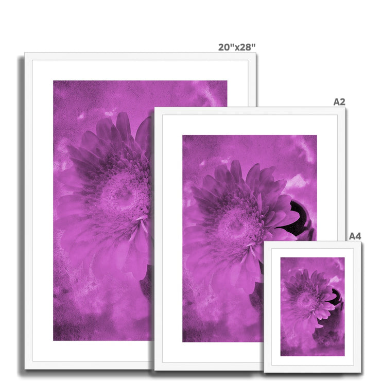 Gerbera A4 Framed & Mounted Print