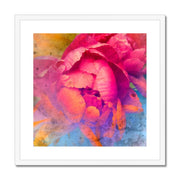 Peony E1 Framed & Mounted Print