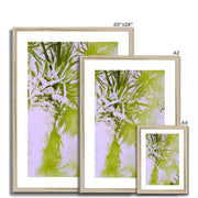 Palm Tree B2 Framed & Mounted Print