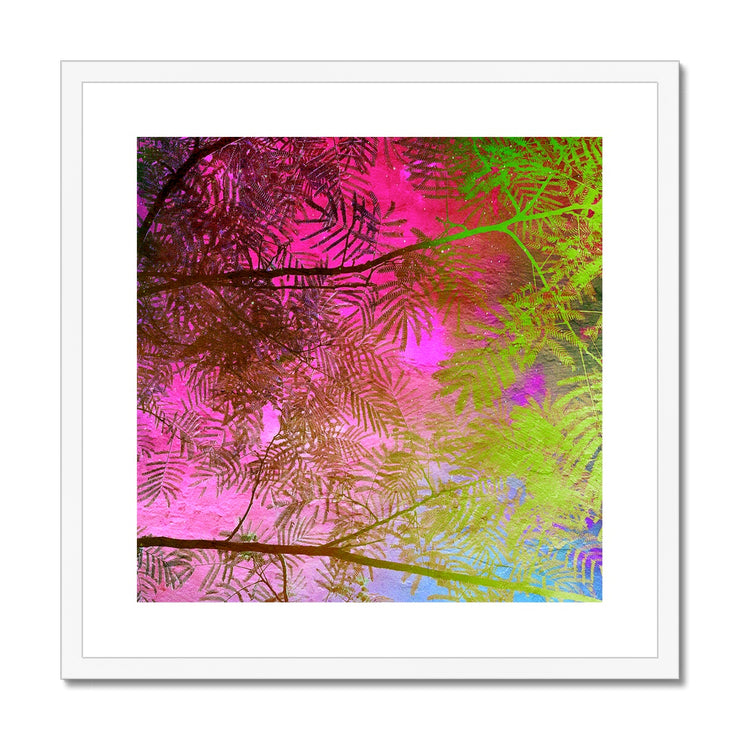 Albizia Tree A10 Framed & Mounted Print