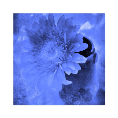 Gerbera A3 Hahnemühle Photo Rag Print