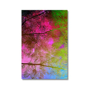 Albizia Tree A10 Canvas