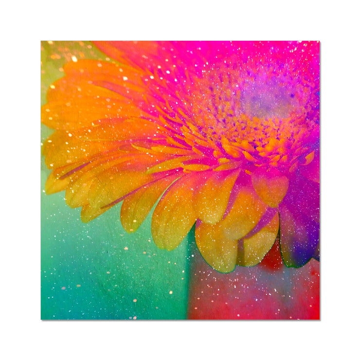 Gerbera B3 Hahnemühle Photo Rag Print