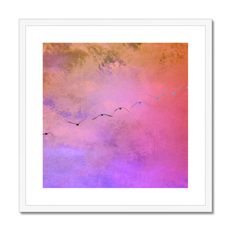 Pelicans in Flight A1 Framed & Mounted Print