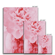 Peony G4 Canvas