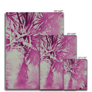 Palm Tree B5 Canvas