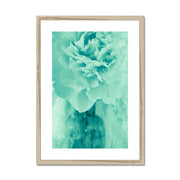 Peony G5 Framed & Mounted Print