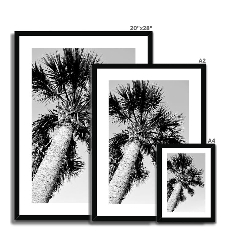 Palm Tree E2 Framed & Mounted Print