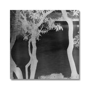 Price Lake B1 Canvas