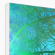 Albizia Tree A6 Canvas