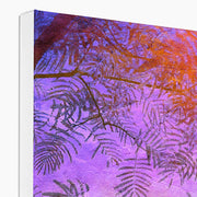 Albizia Tree B2 Canvas