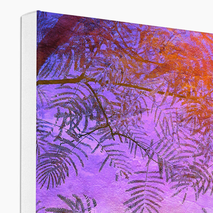 Albizia Tree B2 Canvas