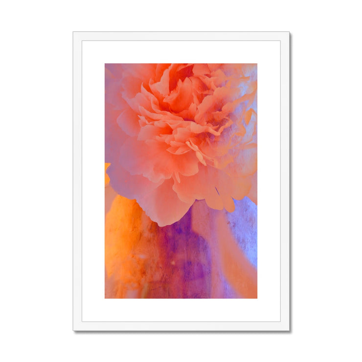 Peony G1 Framed & Mounted Print