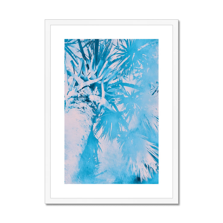 Palm Tree B7 Framed & Mounted Print