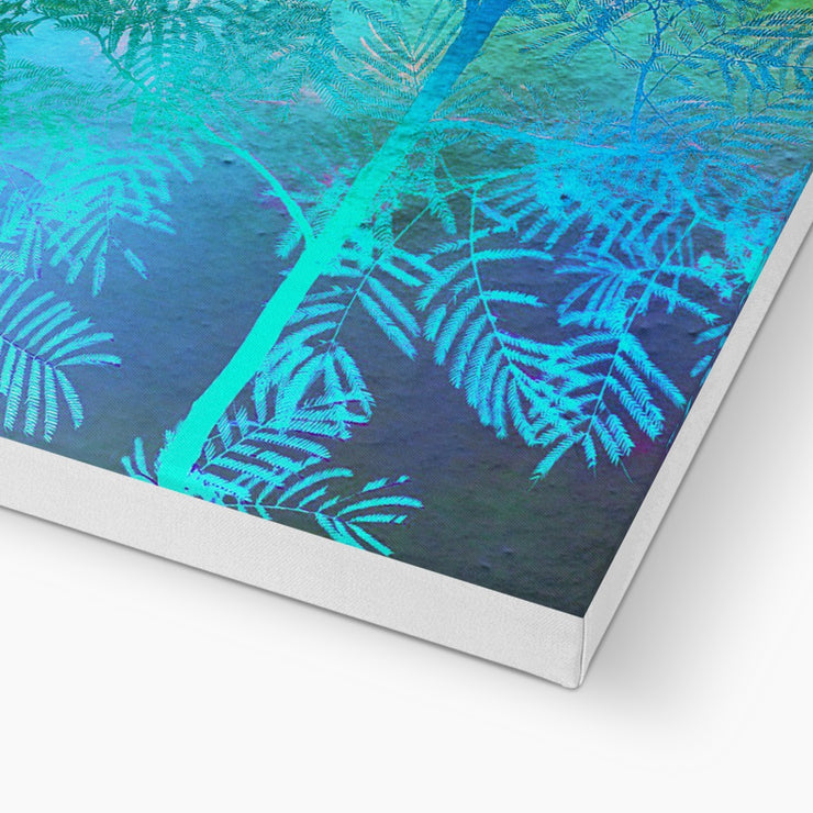 Albizia Tree A6 Canvas