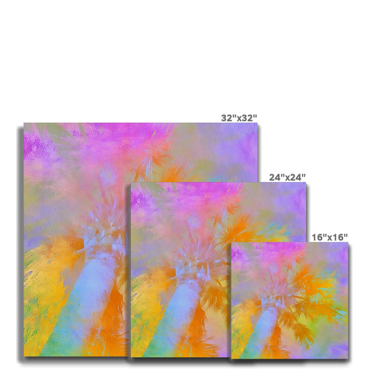 Palm Tree C2 Canvas