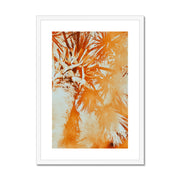 Palm Tree B1 Framed & Mounted Print