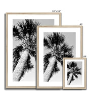 Palm Tree E2 Framed & Mounted Print