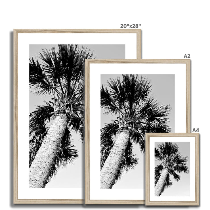 Palm Tree E2 Framed & Mounted Print