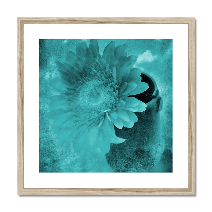 Gerbera A6 Framed & Mounted Print