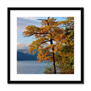 Loch Lomond B1 Framed & Mounted Print