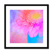 Gerbera B1 Framed & Mounted Print