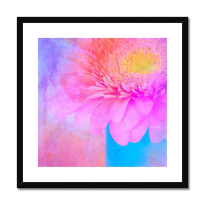 Gerbera B1 Framed & Mounted Print