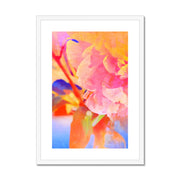 Peony A2 Framed & Mounted Print