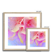 Hydrangea A3 Framed & Mounted Print