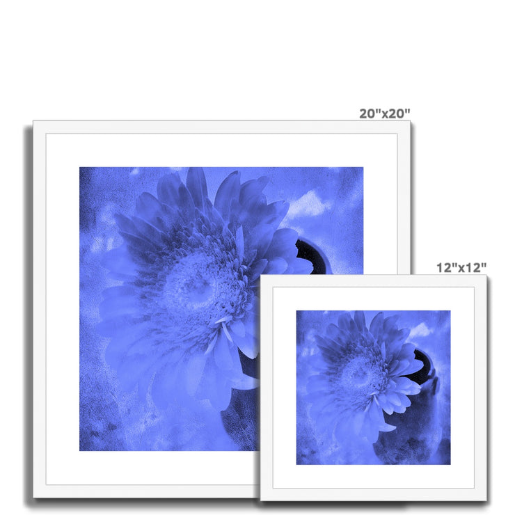 Gerbera A3 Framed & Mounted Print