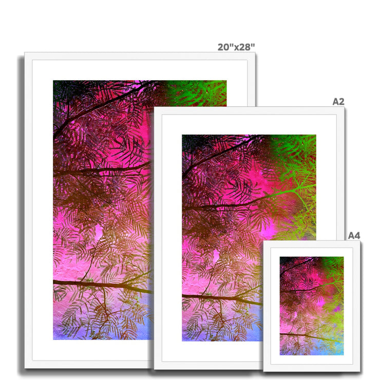 Albizia Tree A10 Framed & Mounted Print